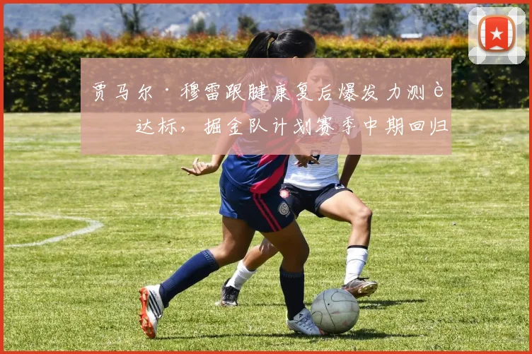 贾马尔·穆雷跟腱康复后爆发力测试达标，掘金队计划赛季中期回归